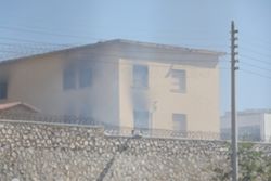 eidiseis
