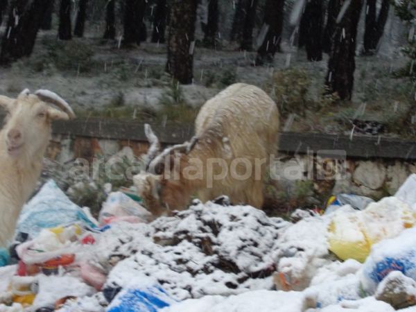 skoupidia tripoli2 12-2-2015