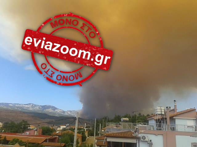 fwtia2 23-7-2015 copy