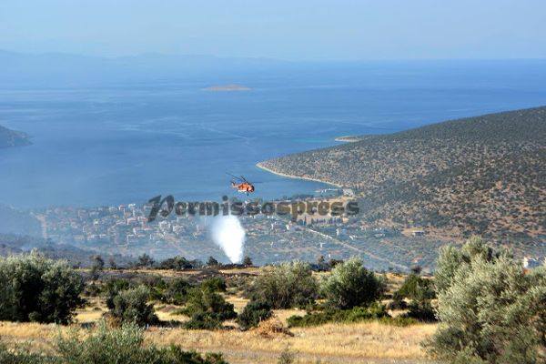 saranti-fwtia1-22-6-2016