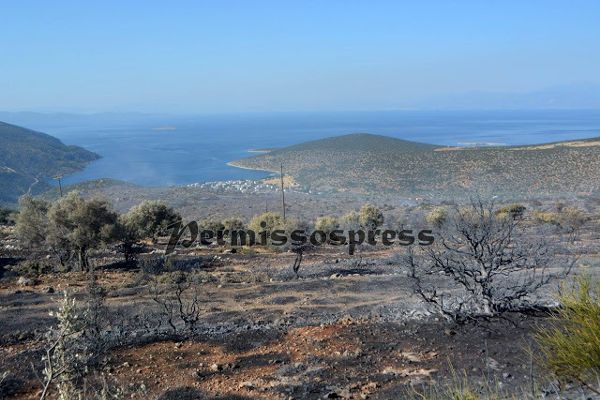 saranti-fwtia2-22-6-2016