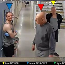 eidiseis