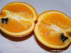 orange
