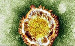 mers 21-4-2014