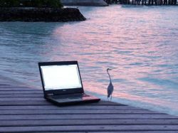 apathles3_12-10-2011