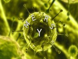 mers