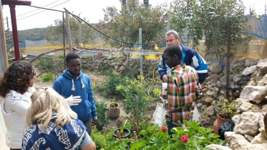 gaudos metanastes2 9-4-2015