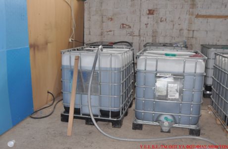 lathraia pota 4-8-2015