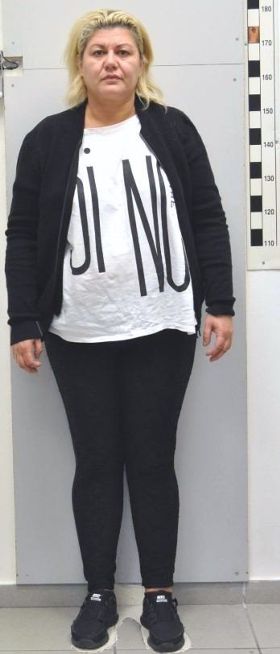 apates2 viles 17-12-2015