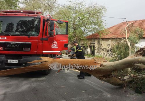 dentro6 nekros odhgos 23-3-2016