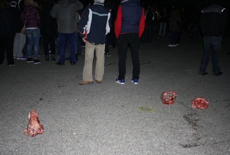 epeisodia prosfuges3 26-3-2016