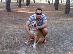 ebola excaliber4 8-10-2014