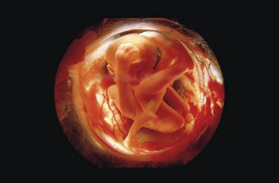 bbbll_24-9-2011
