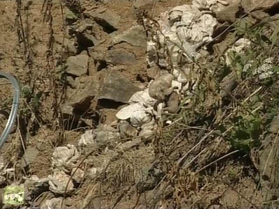 embrya_russia4_24-7-2012