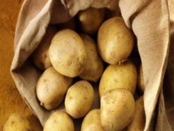 patates 18-1-2017