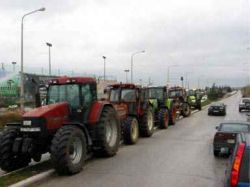 agrotes_7-2-2011