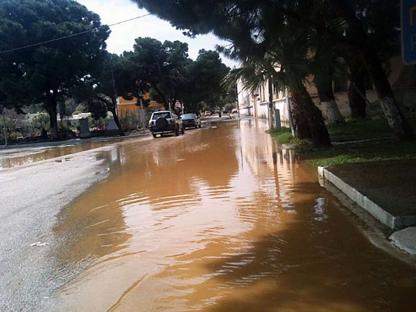 leros plimmires1 28-3-2015