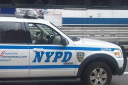 nypd_19-2-2012