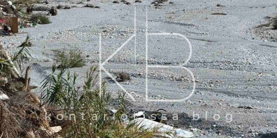 main article image1