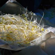 fytres1_5-6-2011